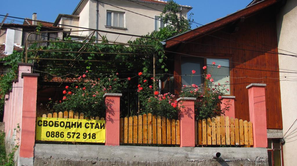 Guesthouse Elena Belogradchik Ngoại thất bức ảnh