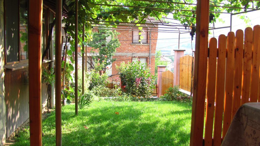 Guesthouse Elena Belogradchik Ngoại thất bức ảnh